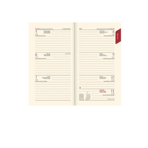 Kalendarz książkowy (terminarz) złoty A6 Lucrum (TR złoty)