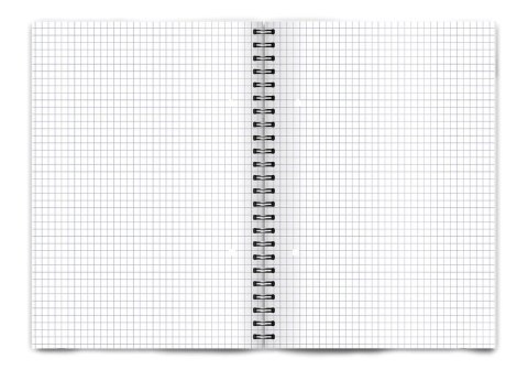 Kołozeszyt (kołonotatnik) A5 colors niebieska 100k. 70g krata TOP-2000 (400169209)