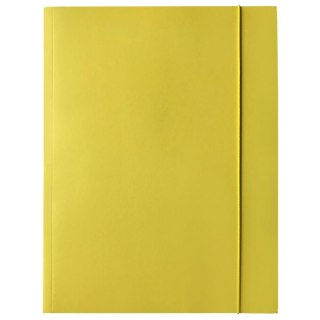Teczka kartonowa na gumkę A4 mix Bantex (400114426)