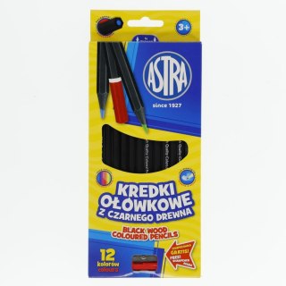 Kredki ołówkowe 12 kol. Astra