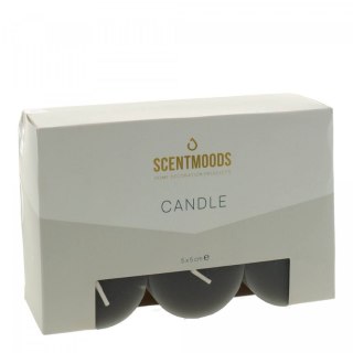 Świeca pieńkowa 5x5cm 6szt., w kolorze Black Pavoncella (8720935400912)