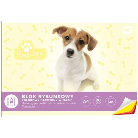 Blok rysunkowy bloki A4 kolorowy 80g 20k [mm:] 210x297 Interdruk (BLRK)