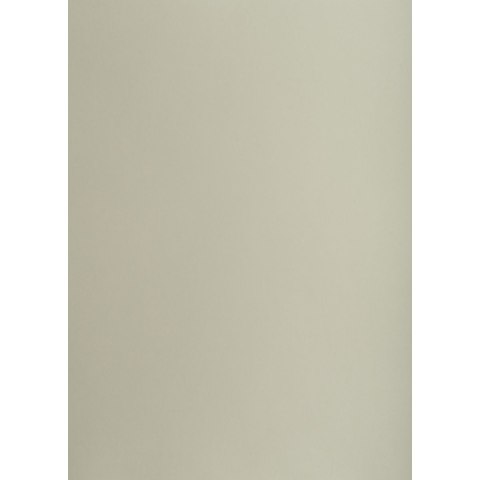 Brystol A1 szary 160g 25k [mm:] 610x860 TOP-2000 (400149523)