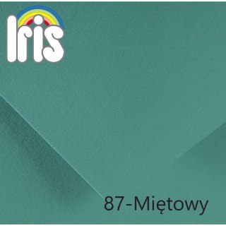 Brystol Iris Canson (400108142)