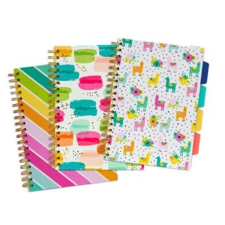 Kołozeszyt (kołonotatnik) Project Book Colour Wash linia Pukka (9032)