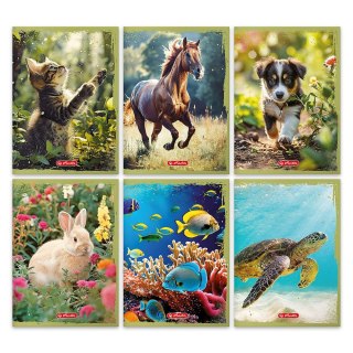 Zeszyt A5 Animals 16k. 70g krata kolorowa Herlitz (400196855)