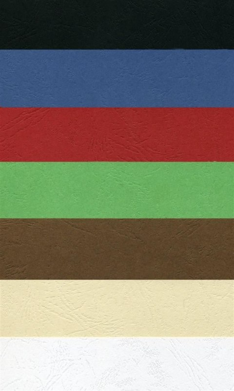 Karton do bindowania A4 Delta skóropodobny kość słoniowa 250g Argo (407121)