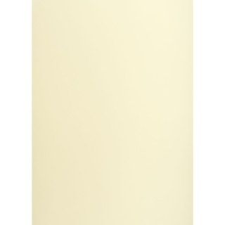 Brystol KREMOWY B2 kremowy 225g 25k Creatinio (400150321)