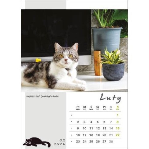 Kalendarz ścienny KOT W BIURZE WIELOPLANSZOWY A3 Jotan (WP136)