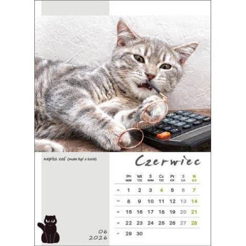 Kalendarz ścienny KOT W BIURZE WIELOPLANSZOWY A3 Jotan (WP136)