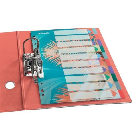 Przekładka czysta Colour Breeze A4 mix 10k Esselte (628500)