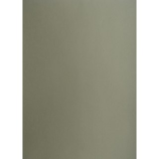 Brystol A1 ciemnoszary 160g 25k [mm:] 610x860 Creatinio (400149524)