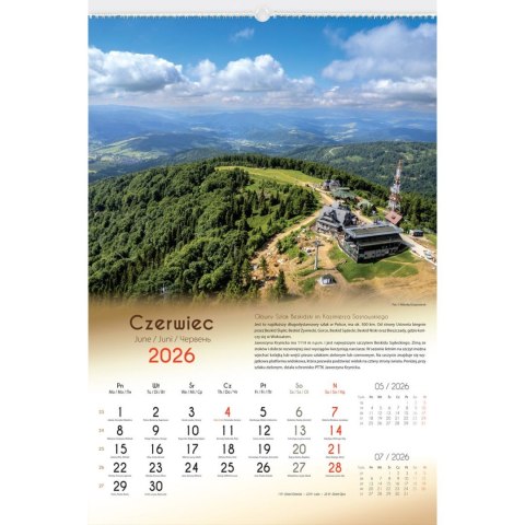 Kalendarz ścienny LASY POLSKIE 13-planszowe 2024 320mm x 470mm Lucrum (RW04)