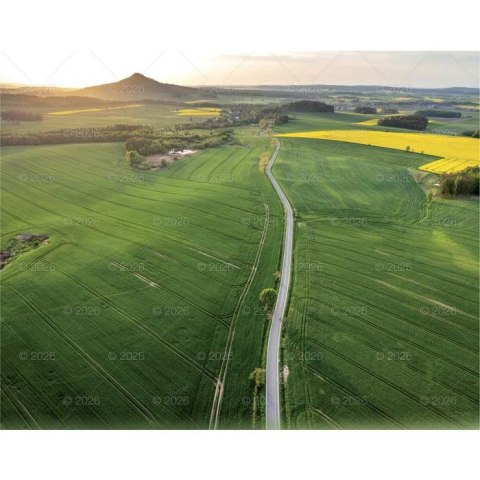 Kalendarz ścienny LASY POLSKIE 13-planszowe 2024 320mm x 470mm Lucrum (RW04)