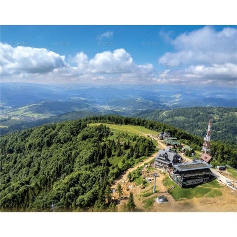 Kalendarz ścienny LASY POLSKIE 13-planszowe 2024 320mm x 470mm Lucrum (RW04)