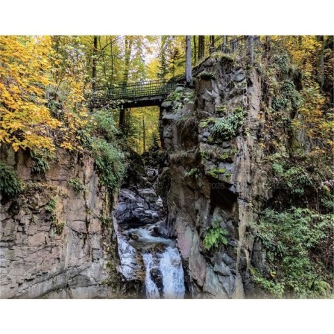 Kalendarz ścienny LASY POLSKIE 13-planszowe 2024 320mm x 470mm Lucrum (RW04)