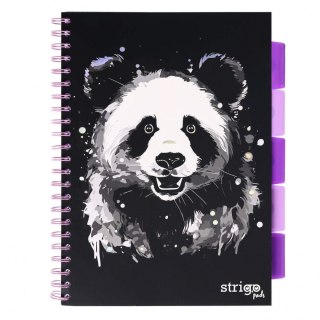 Kołozeszyt (kołonotatnik) A4 ANIMALS panda 100k. 80g linia Strigo (PADS093)
