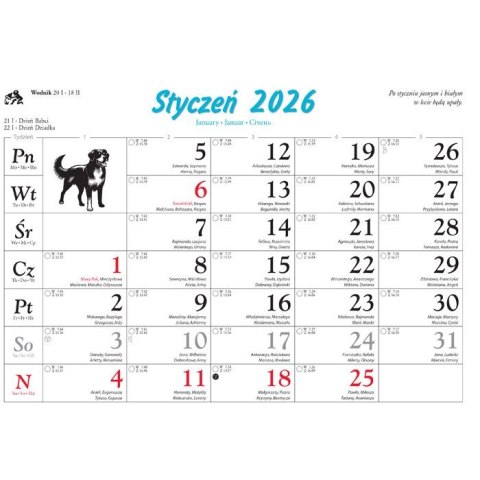 Kalendarz ścienny PSY rodzinny 280mm x 200mm Lucrum (WL08)