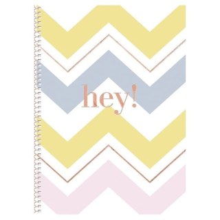 Kołobrulion B5 HEY 80k. krata (nd)