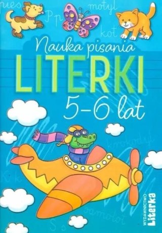 Książeczka edukacyjna Nauka pisania. Literki 5-6 lat Literka