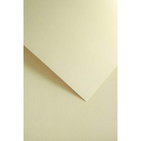 Papier ozdobny (wizytówkowy) A4 natte kremowy kremowy 250g Galeria Papieru (205802)
