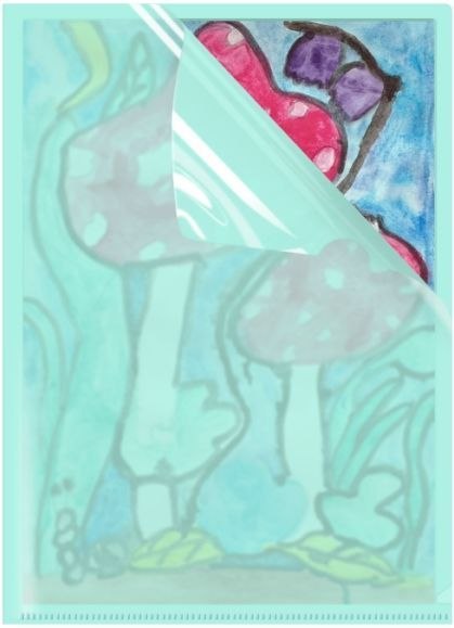 Ofertówka A4 kolor: zielony typu L Biurfol (OFP-A4-04)