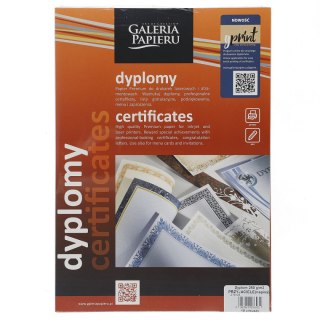Dyplom A4 przyjaciele napisy 250g Galeria Papieru (219125)