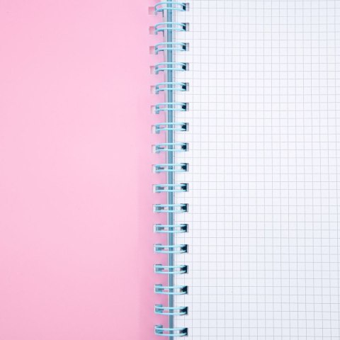 Kołozeszyt (kołonotatnik) B5 pastel ombre 200k. 80g krata Astrapap (107023005)