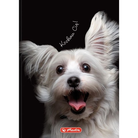 Brulion A6 Crazy Animal 80k. 70g krata Herlitz (400196850)