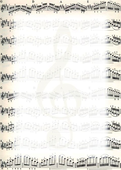 Dyplom A4 Nuty 170g Galeria Papieru (213317)