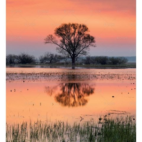 Kalendarz ścienny MAGICZNA POLSKA 13-planszowe 2024 320mm x 470mm Lucrum (RW02)