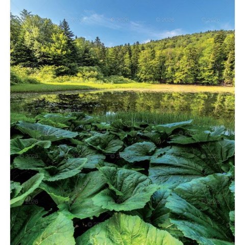 Kalendarz ścienny MAGICZNA POLSKA 13-planszowe 2024 320mm x 470mm Lucrum (RW02)