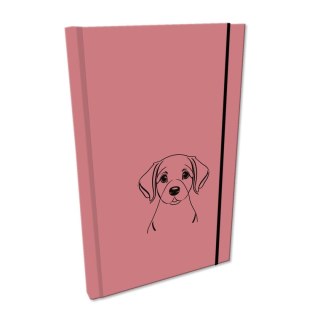 Notes (notatnik) Ev-corp (NA5GSTUVP L-01)