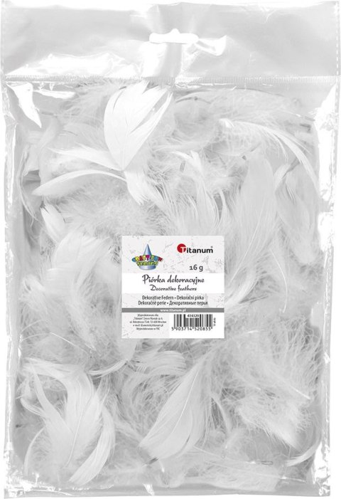 Piórka Craft-Fun Series białe Titanum