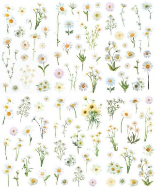 Naklejka (nalepka) Craft-Fun Series Stokrotki foliowe Titanum (25MD004)