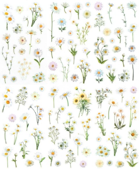 Naklejka (nalepka) Craft-Fun Series Stokrotki foliowe Titanum (25MD004)