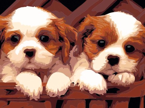 Zestaw kreatywny Malowanie po numerach 30x40cm Dwa psy Flamingo Line (FC34)