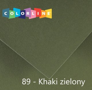 Brystol Colorline 89 zielony 150g 10k [mm:] 500x650 Canson (400110146)