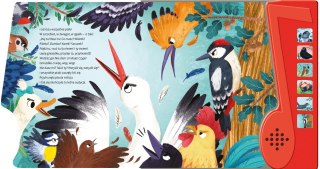Książka dla dzieci dźwiękowa Ptasie Radio Morex