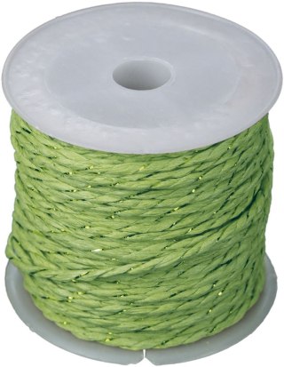 Sznurek Craft-Fun Series papierowy 10m Titanum (24BR0201-15（green))