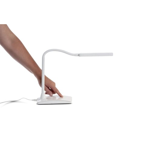 Lampka biurowa LED MAULpearly BIAŁA Maul (82017/02 ML)