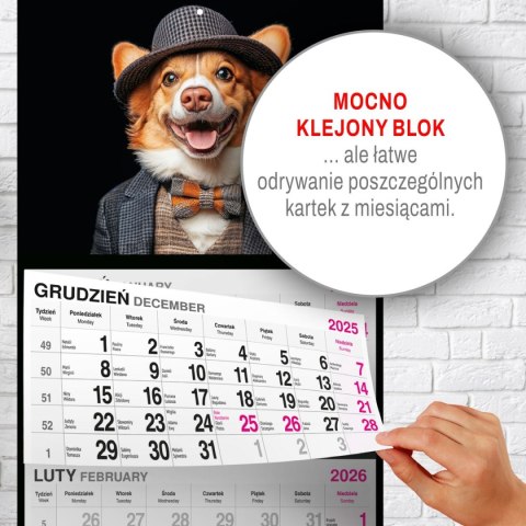 Kalendarz ścienny PIES 310mm x 790mm Press