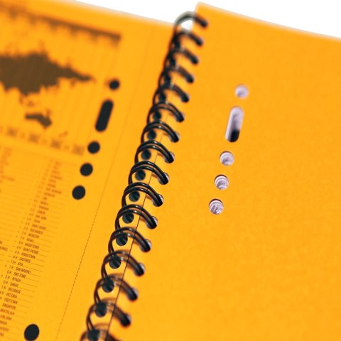 Kołozeszyt (kołonotatnik) A5+ International 80k. krata Oxford (100102880)