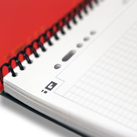 Kołozeszyt (kołonotatnik) A5+ International 80k. krata Oxford (100102880)