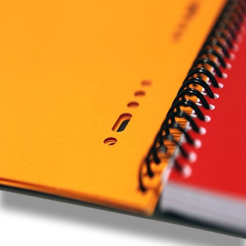 Kołozeszyt (kołonotatnik) A5+ International 80k. krata Oxford (100102880)