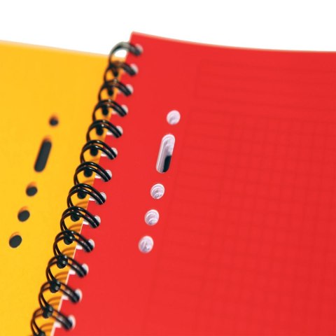 Kołozeszyt (kołonotatnik) A5+ International 80k. krata Oxford (100102880)