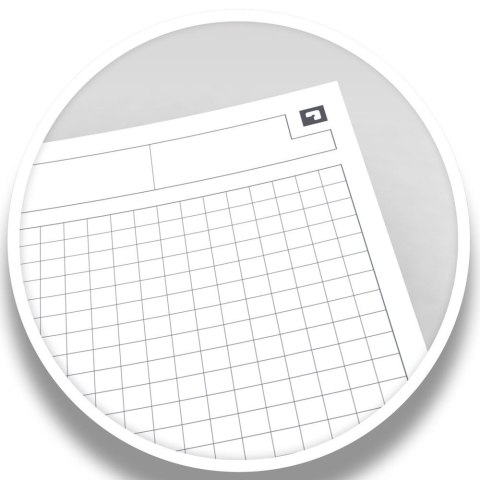 Kołozeszyt (kołonotatnik) A5+ International 80k. krata Oxford (100102880)