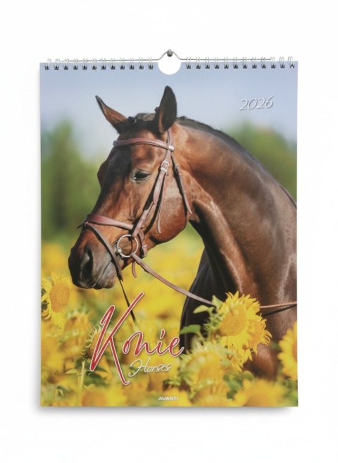 Kalendarz ścienny MAŁY SPIRALA KONIE 230mm x 305mm Avanti (KSMS-5)