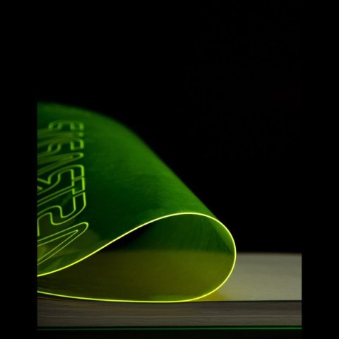 Kołozeszyt (kołonotatnik) B5 fluo 100k. krata Astrapap (104021041)