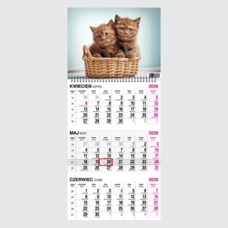 Kalendarz ścienny KOT 310mm x 790mm Press